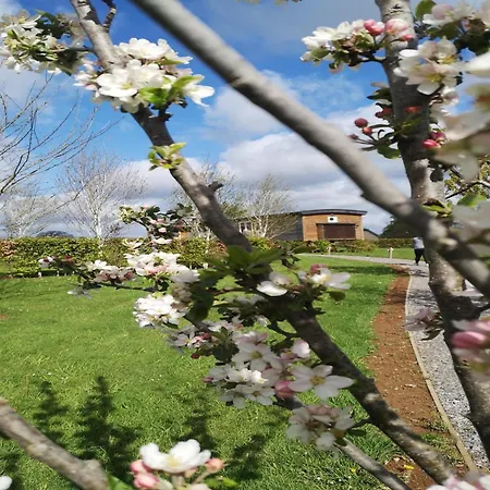 Mobile Home In Ardennes Near Forest & Sauna, Cleaning Included *